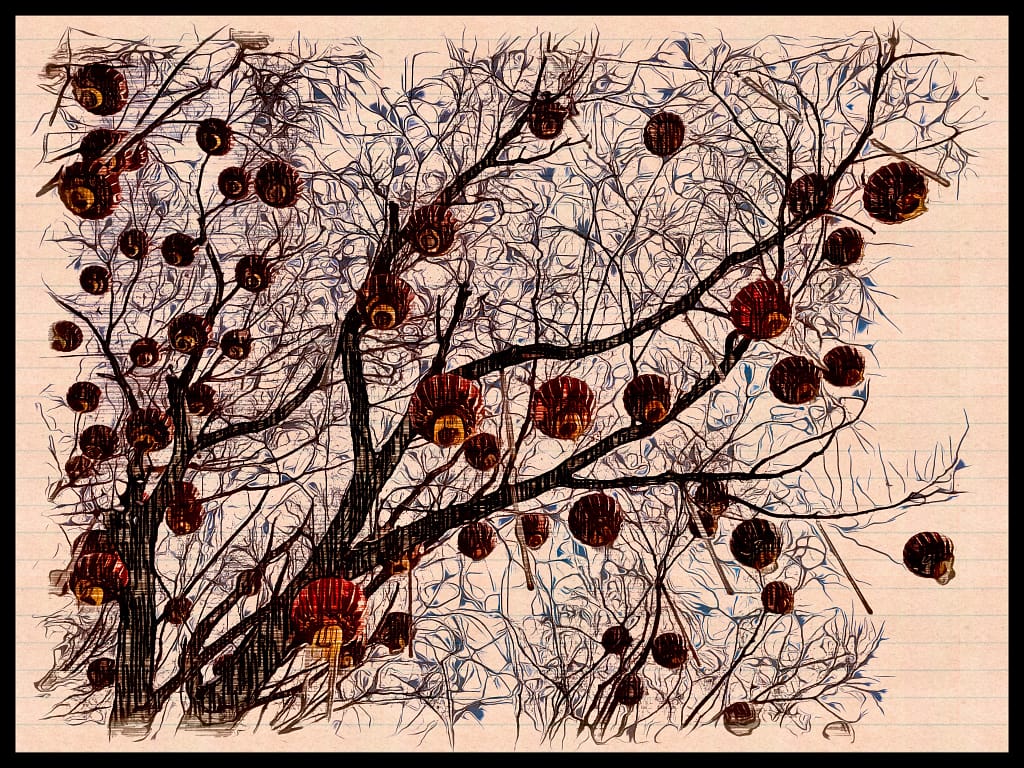 Chinese Tree Lanterns