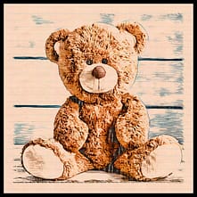 Teddy Bear With Border - CamZhu