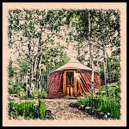 Yurt in Woods with Border
