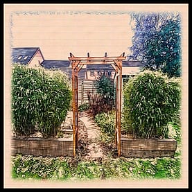 Garden gate with border - CamZhu