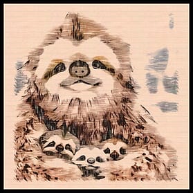 Sloth Family with border