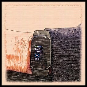 Fitbit photo with border - CamZhu