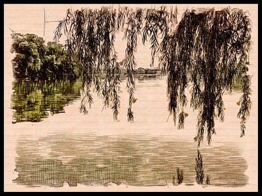 Lake in Chinese Park