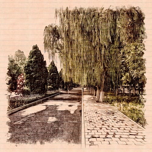 Path and Overhanging Tree