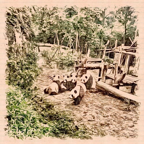 Playing Pandas