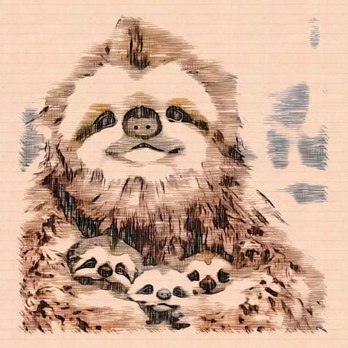 Sloth Family